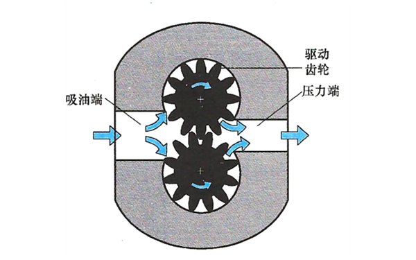 齒輪式輸油泵結構圖-柴油發(fā)電機組.png