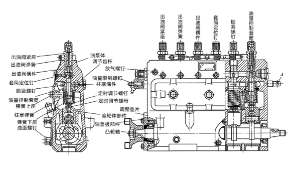 柴油機6缸B型噴油泵剖面圖.png