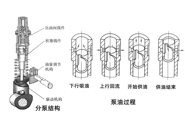 燃油泵分配泵結構和原理圖-柴油發(fā)電機組_副本.png