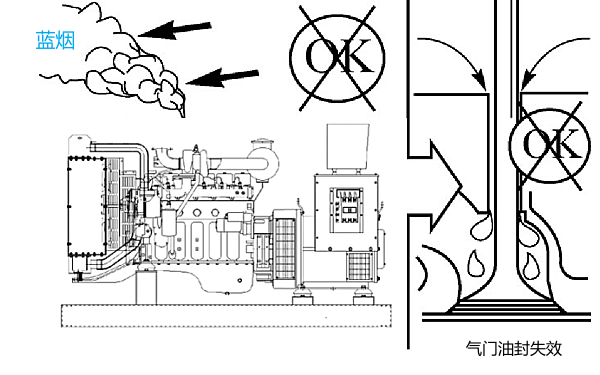 氣門(mén)導管油封失效導致柴油機冒藍煙.png