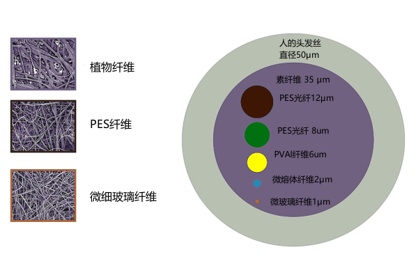 機油濾清器過(guò)濾材料纖維示意圖.png